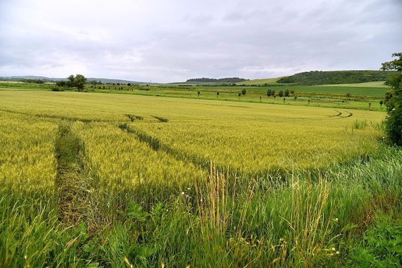 Ostrůvek